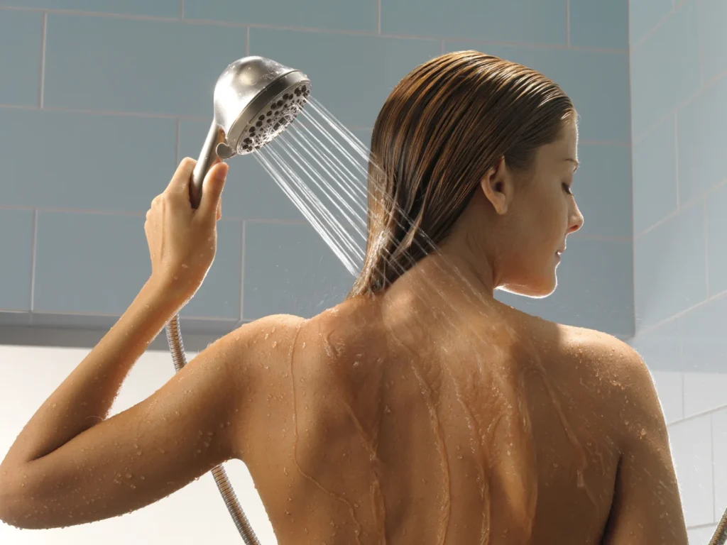 Delta In2ition Two-in-One Shower